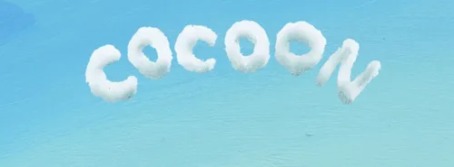 Cocoon dans Le Morning du Matin