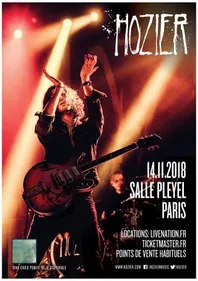 Une date en France pour Hozier
