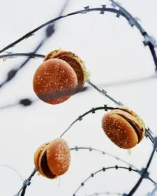 Découvrez l'exposition Ici sont les dragons 2/3 : venez comme vous...