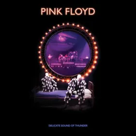 Pink Floyd se prépare à revisiter le live Delicate Sound of Thunder