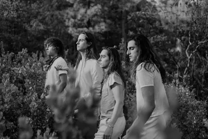 Greta Van Fleet : un nouveau single sort par surprise