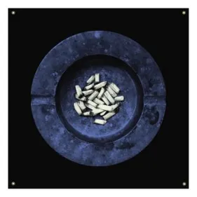 Laura Jane Grace (Against Me!) sort un album par surprise