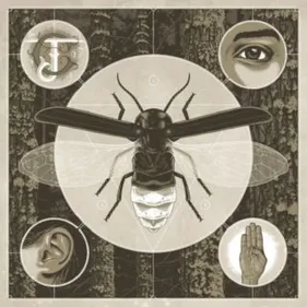 Alice In Chains : découvrez le nouveau single de Jerry Cantrell