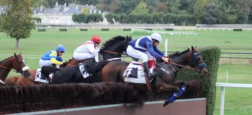 Hippisme. Suppression du galop sur plusieurs hippodromes :  « C'est...
