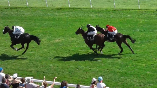 Hippisme : Nos préférés pour ce samedi 22 septembre