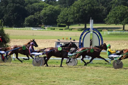 Des courses hippiques dimanche et lundi à Segré