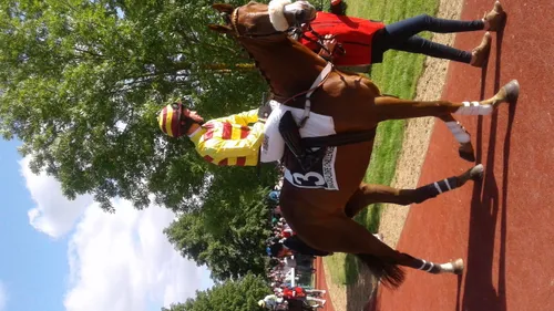 Hippisme : Nos préférés pour ce samedi 29 septembre