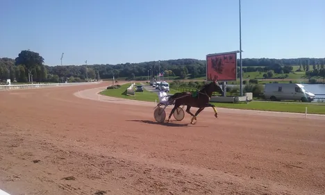 Hippisme : Nos préférés pour ce samedi 6 octobre
