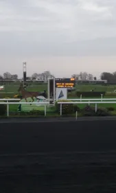 Hippisme : Nos préférés pour ce dimanche 28 octobre