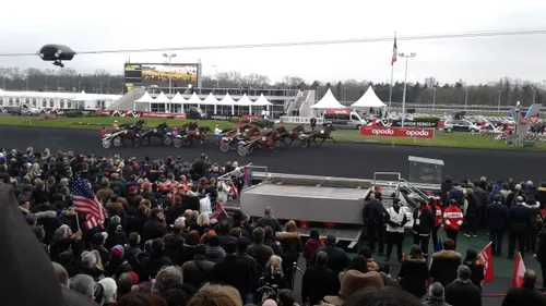 Hippisme : Nos préférés pour ce samedi 24 novembre
