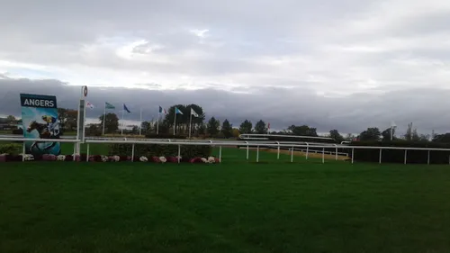 Hippisme : Nos préférés pour ce dimanche 25 novembre