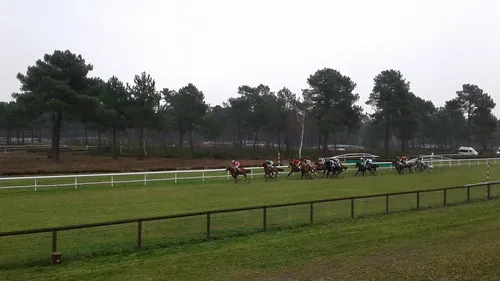 Hippisme : Nos préférés pour ce dimanche 2 decembre