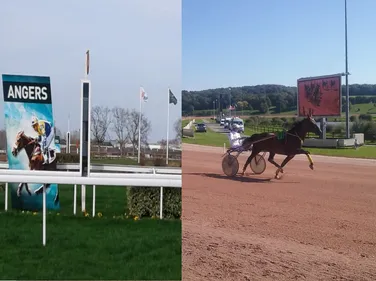 Hippisme : Nos préférés pour ce dimanche 9 décembre