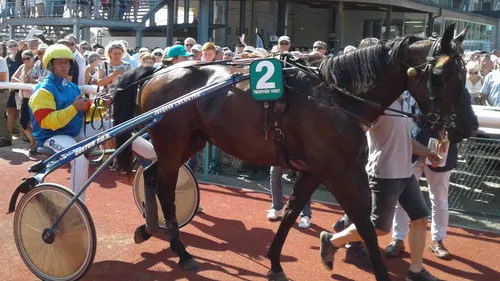 Hippisme : Nos préférés pour ce samedi 5 janvier