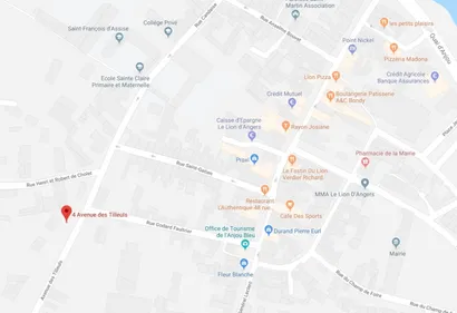 Le Lion d'Angers. Grosse coupure de courant en centre-ville