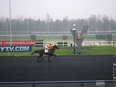 Hippisme : Nos préférés pour ce dimanche 20 janvier