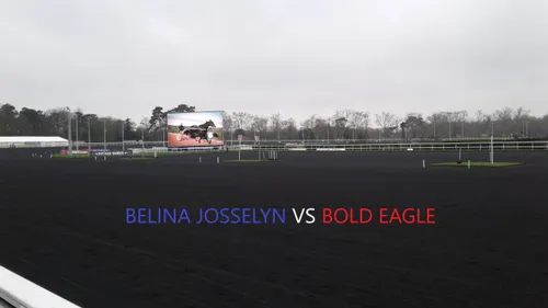 Hippisme : Nos préférés Prix d'Amérique 2019