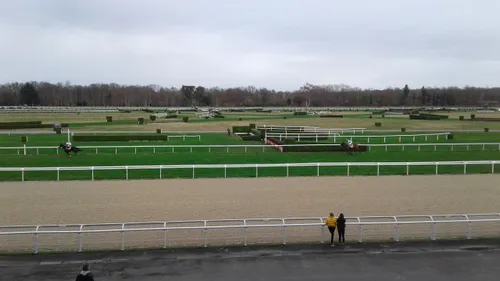 Hippisme : Nos préférés pour ce dimanche 3 février