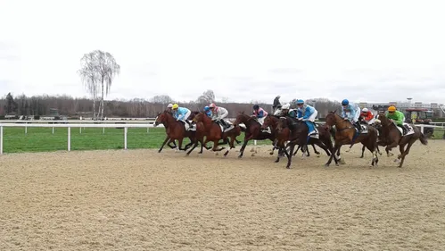 Hippisme : Nos préférés pour ce samedi 16 février