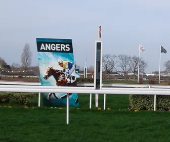 Hippisme : Nos préférés pour ce dimanche 17 février