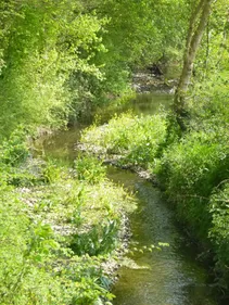 Journée de l’Eau : des évènements en Mayenne et Maine et Loire