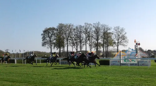 Hippisme : Nos préférés pour ce dimanche 21 avril