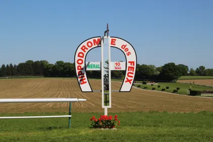 Hippisme : Nos préférés pour ce dimanche 12 mai