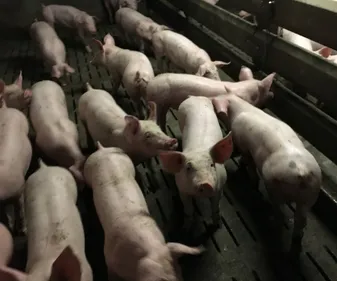 La FDSEA et les JA s'inquiètent de la hausse des coûts des matières...