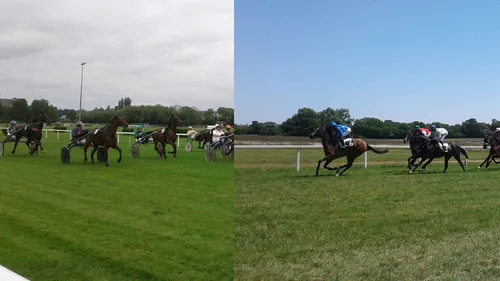 Hippisme : Nos préférés pour ce dimanche 30 juin