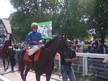 Hippisme : Nos préférés pour ce dimanche 7 juillet