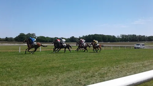 Hippisme : Nos préférés pour ce dimanche 14 juillet