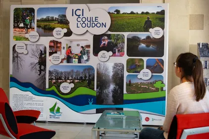 Bassin de l'Oudon : la qualité de l'eau s'améliore