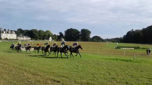 Hippisme : Nos préférés pour ce dimanche 15 septembre