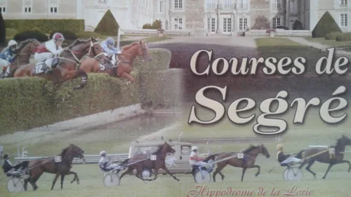 Hippisme : Nos préférés pour ce dimanche 29 septembre