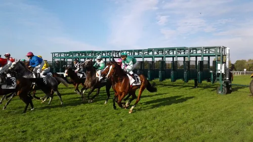 Hippisme : Nos préférés pour ce samedi 12 octobre