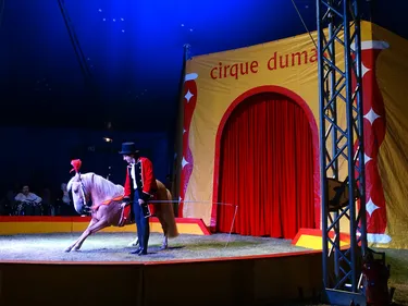Cirque Dumas à Segré : Gagnez vos invitations !
