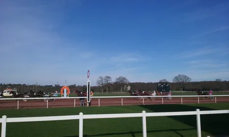 Hippisme : Nos préférés pour ce dimanche 19 janvier