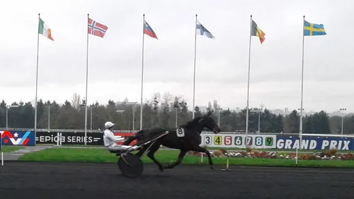 Hippisme : Nos préférés pour ce dimanche 9 février