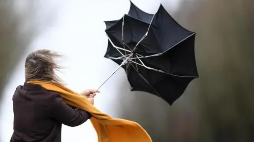 Tempête Dennis : 20 000 foyers sans alimentation électrique sur la...