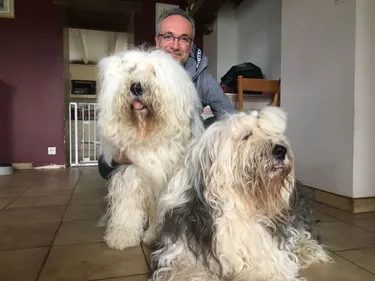 Saint Augustin des Bois. Ses chiens sont en compétition au Salon de...