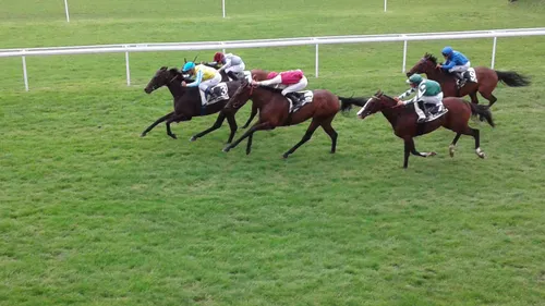 Hippisme : Nos préférés pour ce dimanche 15 mars