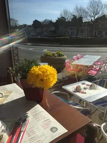 Segré - Miaou !! Le Chat Gris est ouvert