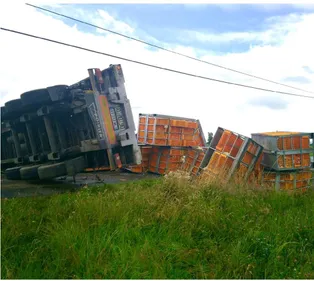 Châteauneuf-sur-Sarthe. Un transport de poulet renversé, le...