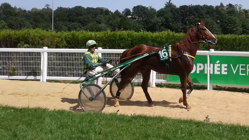 Hippisme : Nos préférés pour ce dimanche 21 juin