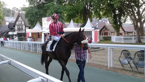 Hippisme : Nos préférés pour ce dimanche 28 juin