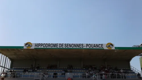 Hippisme : Nos préférés pour ce samedi 11 juillet