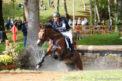 Le Lion d'Angers. Un nouveau pensionnaire à l'Isle Briand