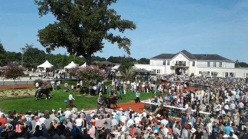 Hippisme : Nos préférés pour ce dimanche 6 septembre