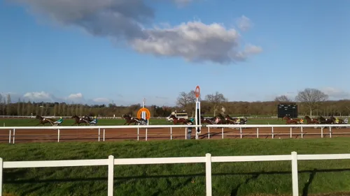 Hippisme : Nos préférés pour ce dimanche 13 septembre
