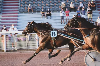 Hippo apéro et semi-nocturne ce vendredi à l'hippodrome de Laval